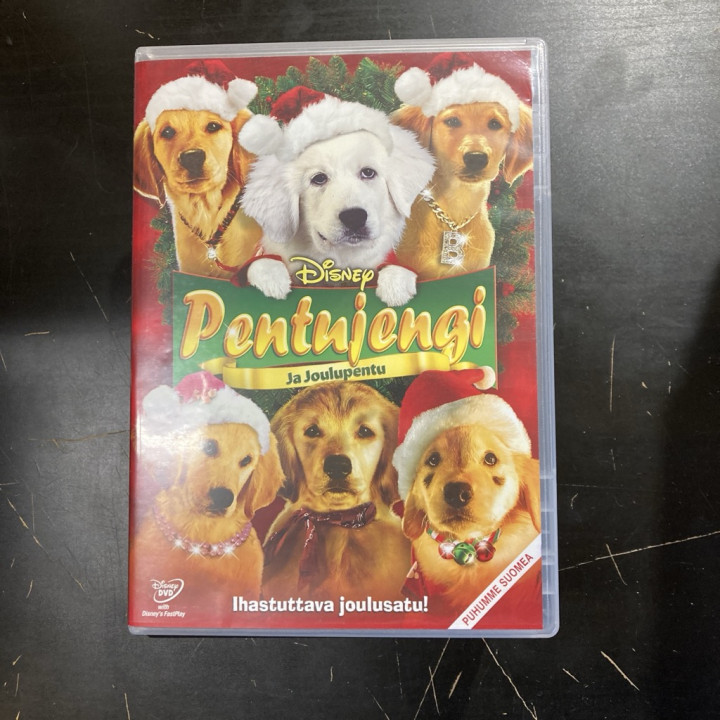 Pentujengi ja joulupentu DVD (VG+/M-) -lastenelokuva-